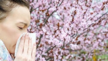 Driving Tips For Hayfever Sufferers